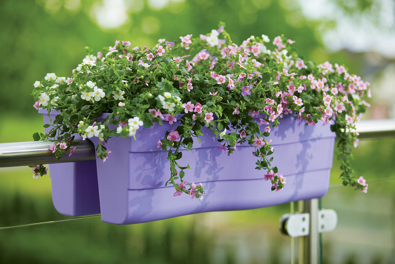 Wave Railing Pot 30cm Balcony Box Brand Form-Plastic