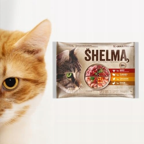 Wet Cat Food Grain-Free Mix 4 Flavours 4x85g Shelma Brand Shelma