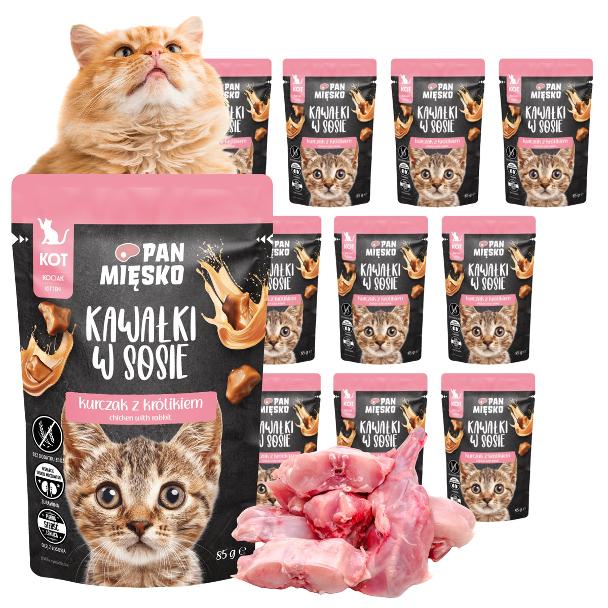 Wet Food for Kittens Pan Meat Pieces in Sauce Chicken Rabbit 85g x 12