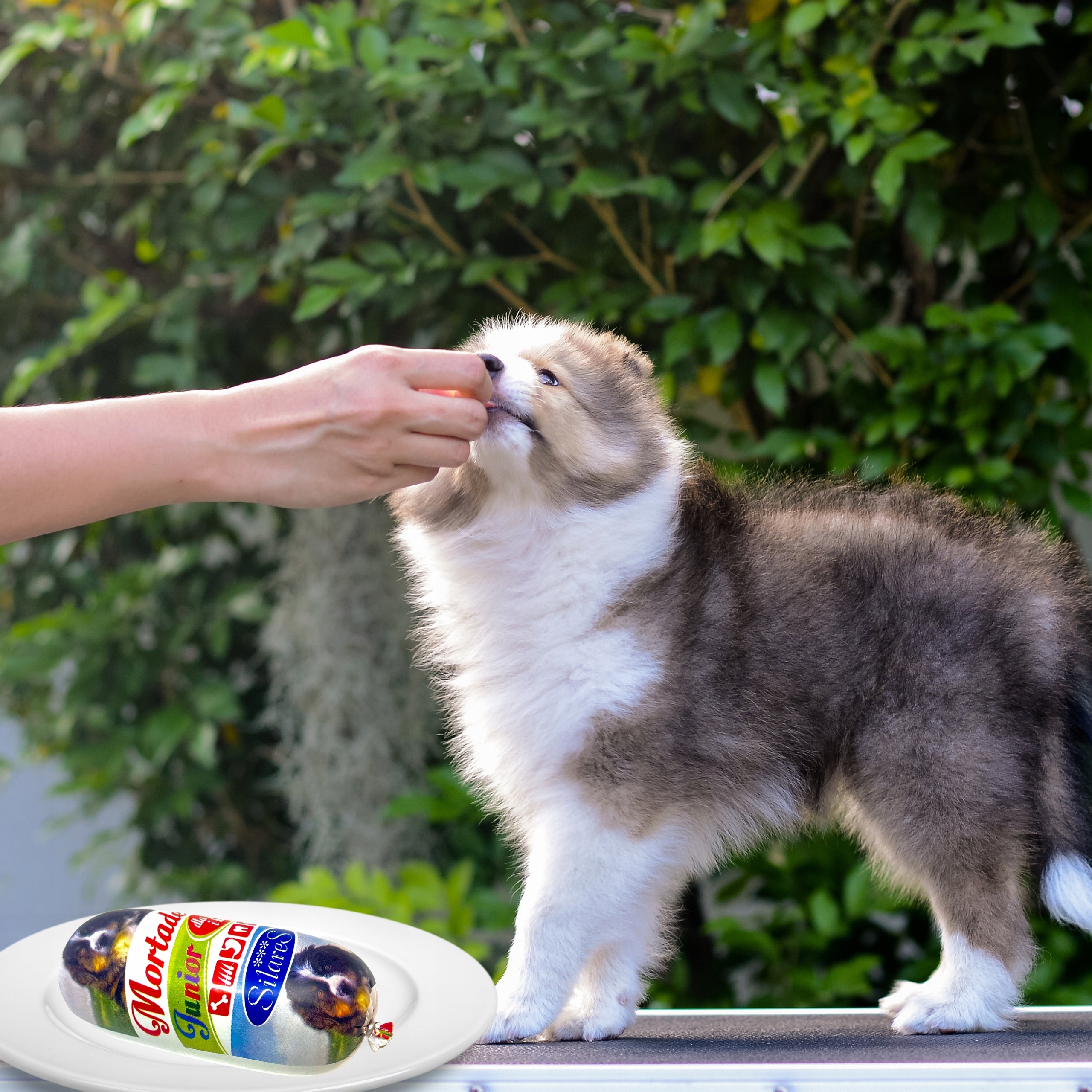 Wet Food for Young Dogs and Cats Mini Poultry Mortadel Premium 5kg EAN (GTIN) 5903792749179