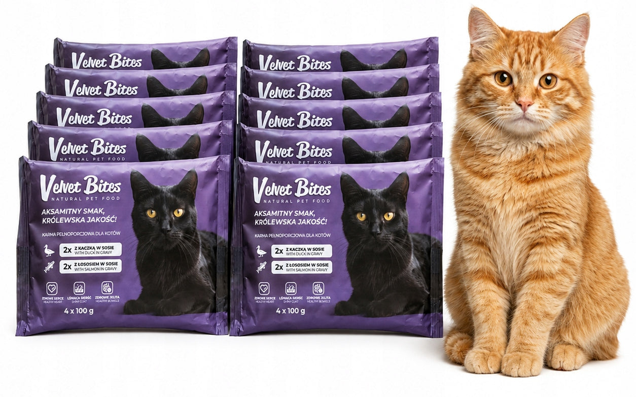Wet cat food 40×100g Sachets with duck and salmon in grain-free sauce