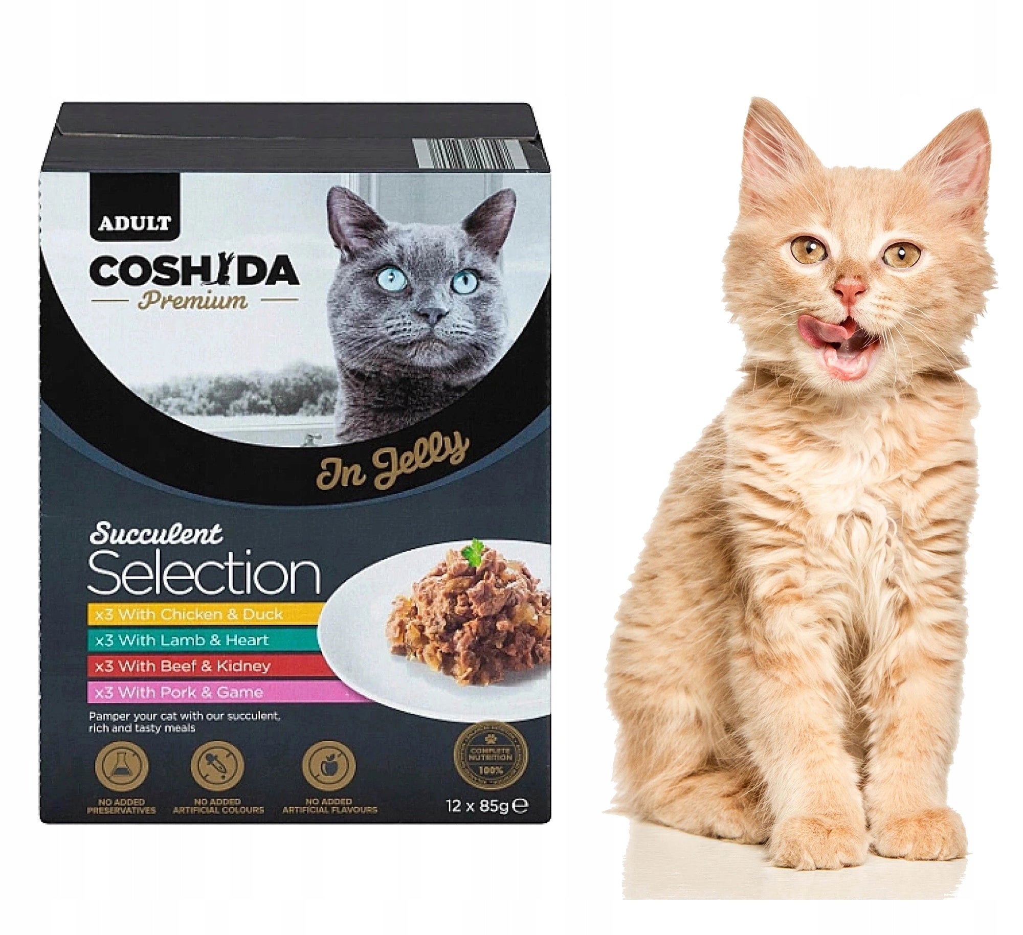 Wet cat food Coshida 48 x 85g sachets pieces jelly FILLETS Brand Coshida