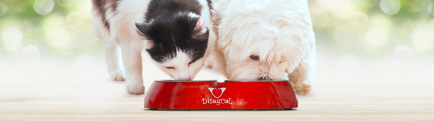 Wet cat food Disugual with probiotic 85 g Hepatic quail Brand Disugual