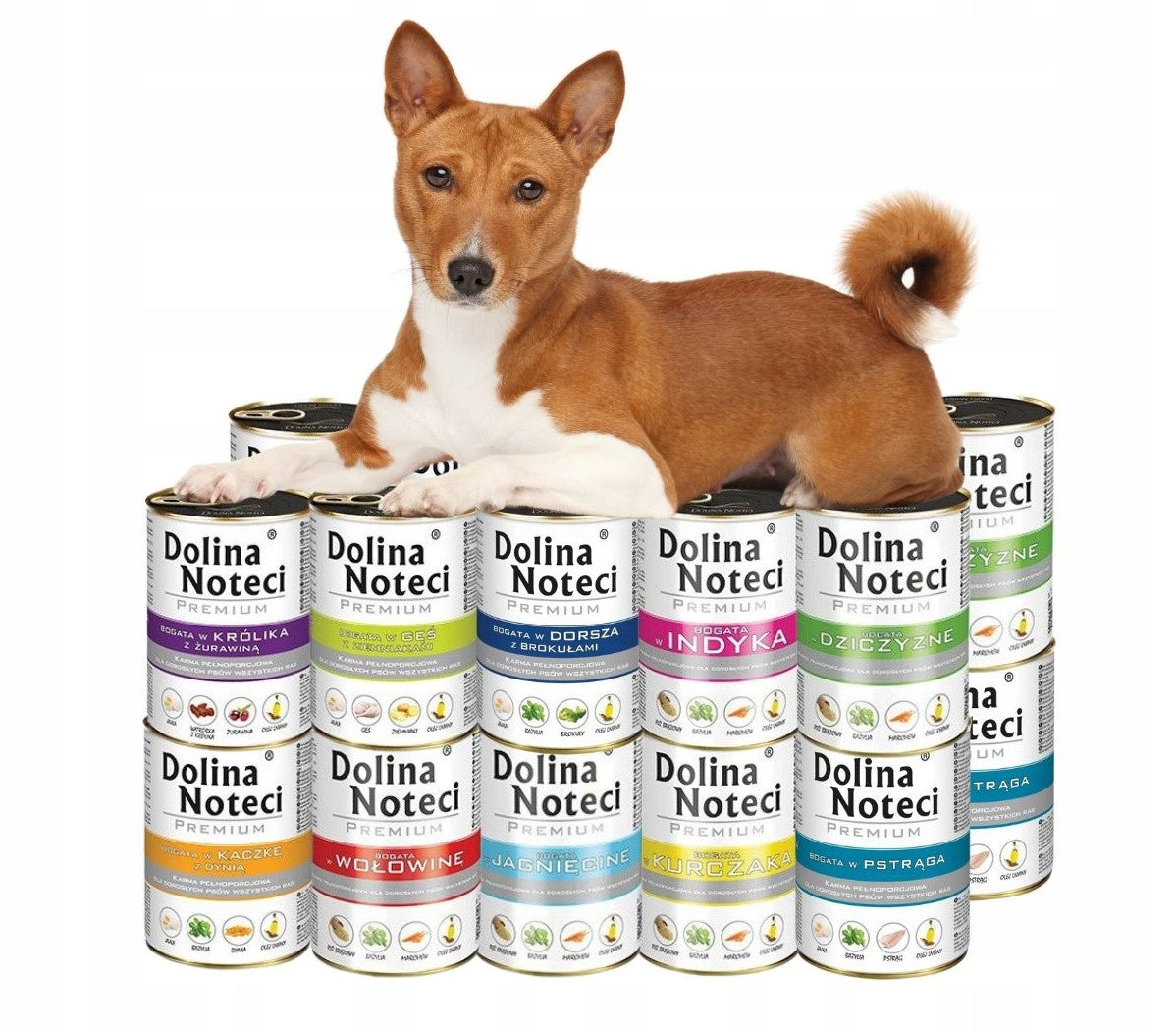Wet dog food Dolina Noteci Premium MIX of flavors 20x400g