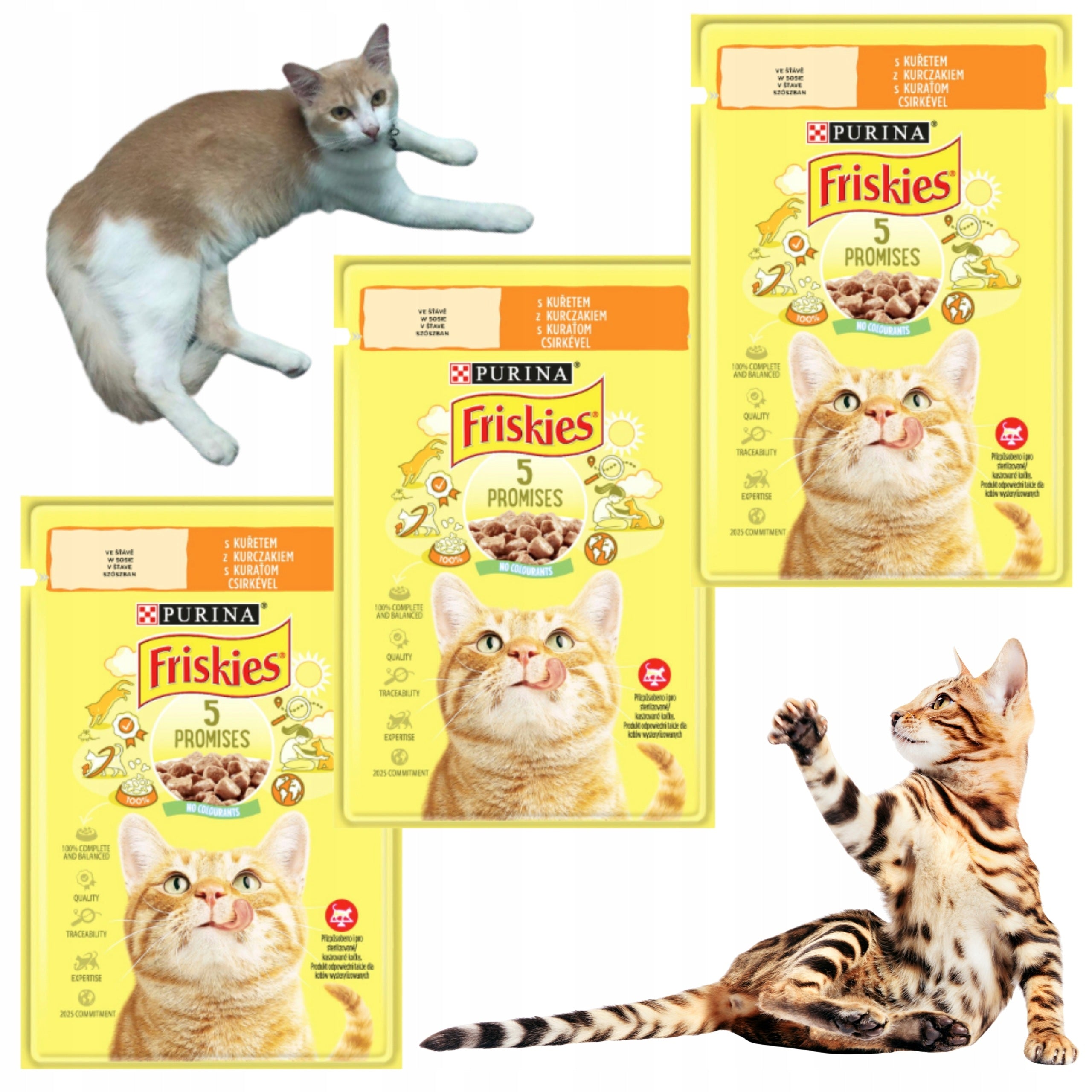 Wet food PURINA Friskies sachet chicken 3x85 g
