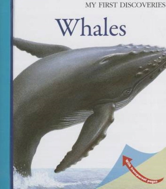 Wale 