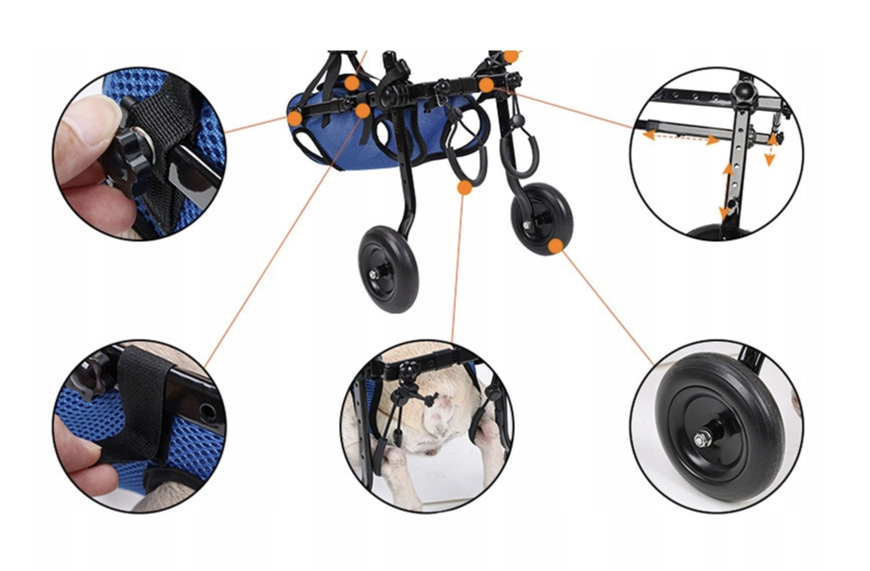 Wheelchair for dogs M blue plastic Kind wheels