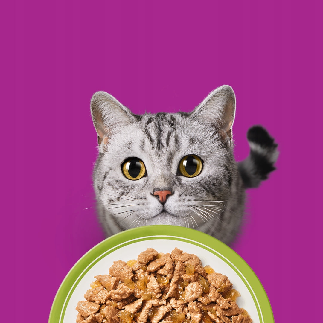 Whiskas Adult Mixture of Flavors 40x85g Wet Cat Food in Jelly Packaging status original