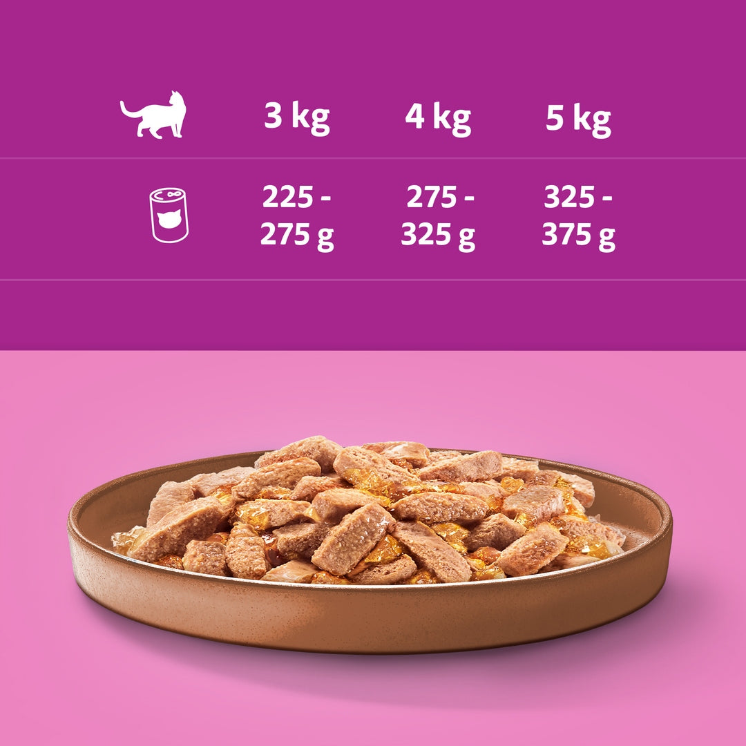 Whiskas Mix of Tastes Wet Cat Food Adult 24x400g Cans Whiskas 9,6kg Manufacturer code 5900951020902