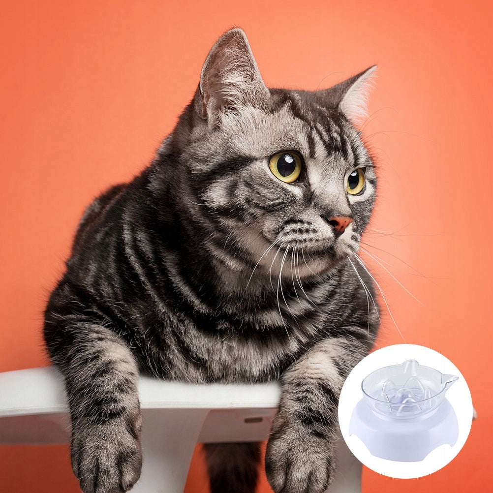 White Tilted Cat Bowl with Neck Protection and Detachable Design Kind single bowl