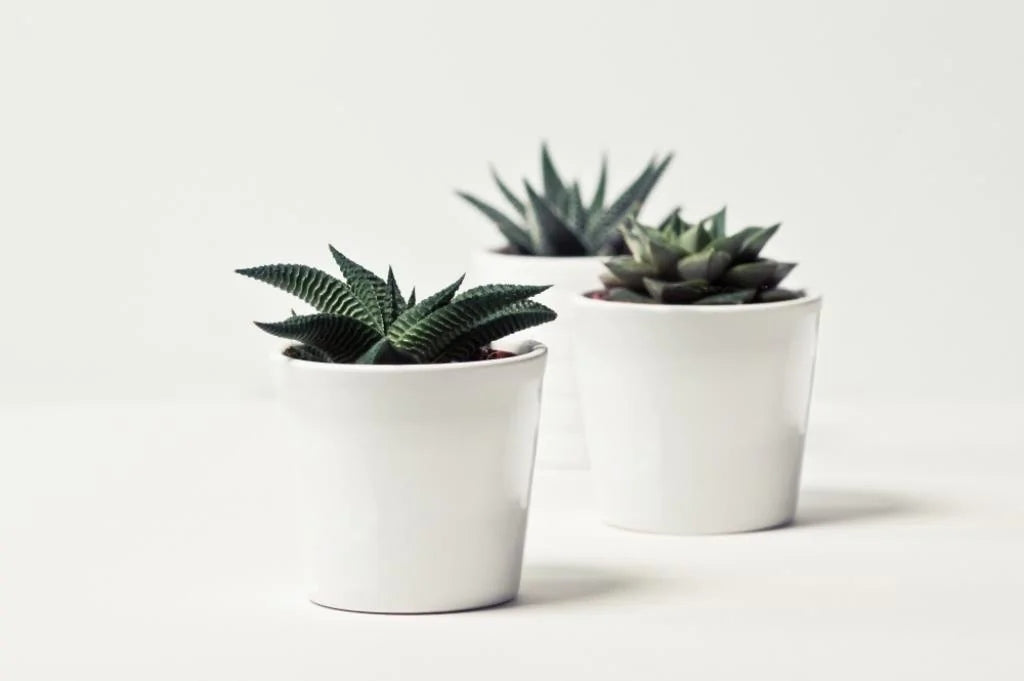 White ceramic flower pot cover, 13.5 cm Manufacturer code 71.033.14