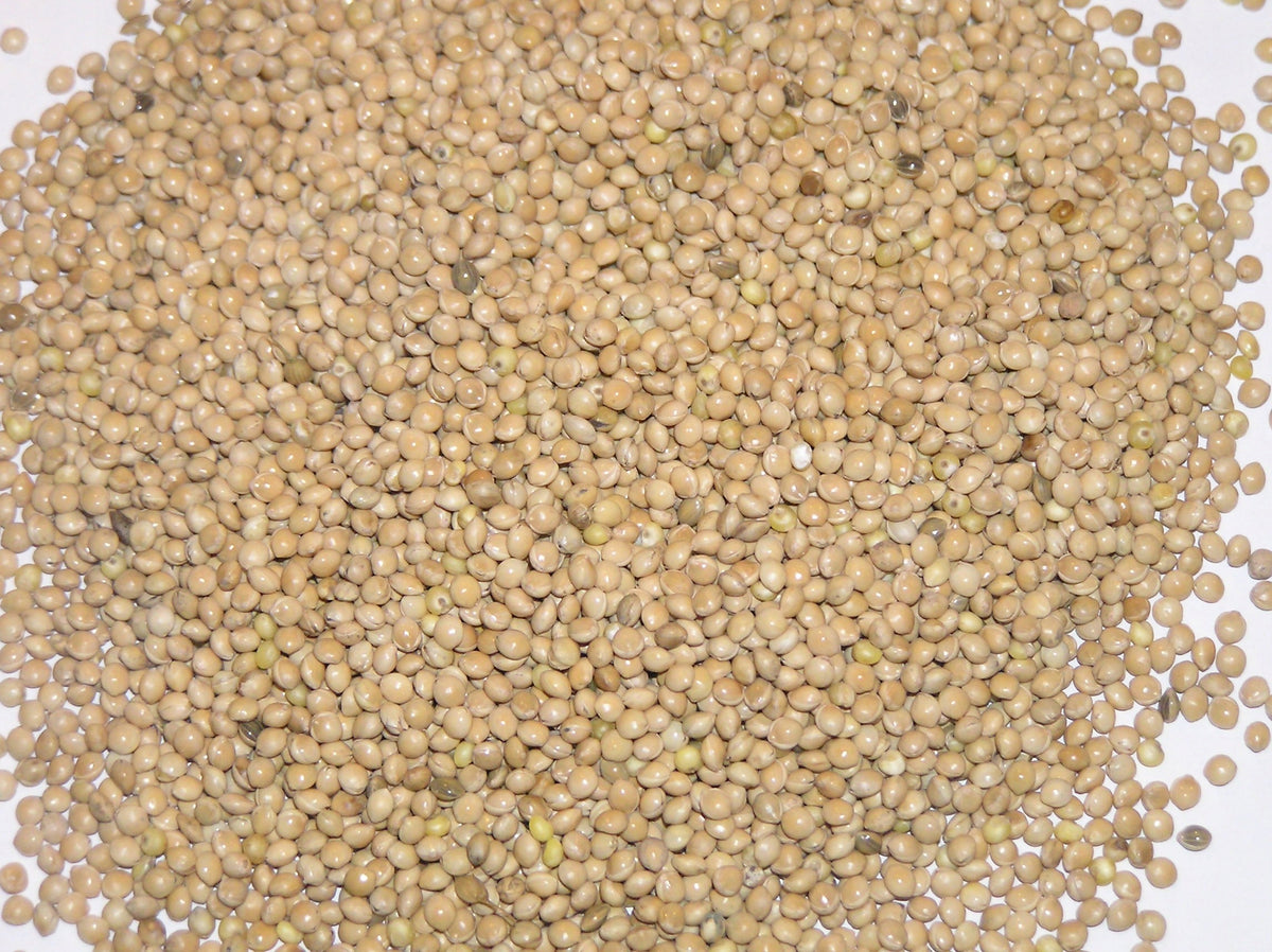 White millet 1 kg