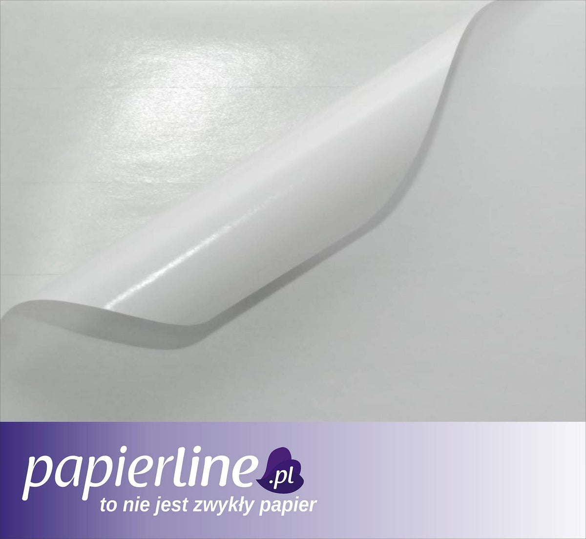 White self-adhesive labels 100 sheets A3 Matte