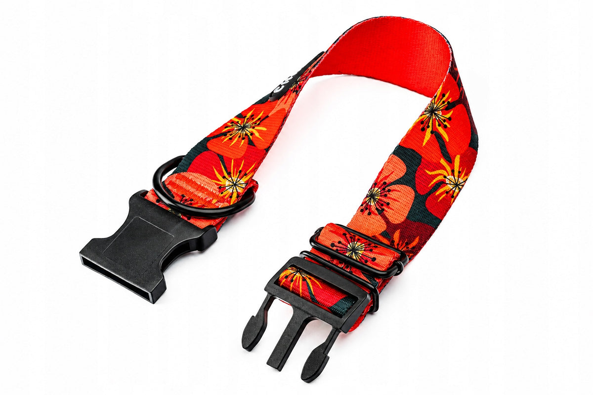 Wide BULL Dog Collar Adjustable and Strong CHABA | Opium| Packaging status original