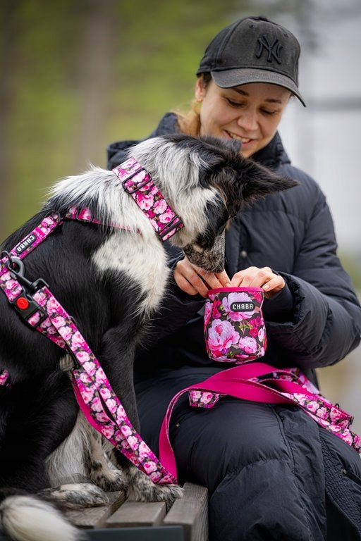 Wide BULL Dog Collar Adjustable and Strong CHABA | Peony| Floral Pattern Manufacturer code 662260