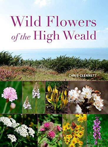 Wilde Blumen des High Weald 