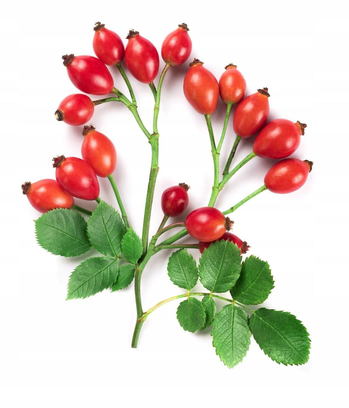 Wild Rose ROYAL SENSI 70% Vitamin C Natural Immunity Vegan Health Packaging status original