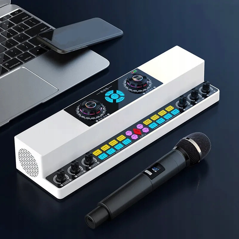 Wireless Karaoke Bluetooth Speaker Sound Card With Two Microphones Packaging status original
