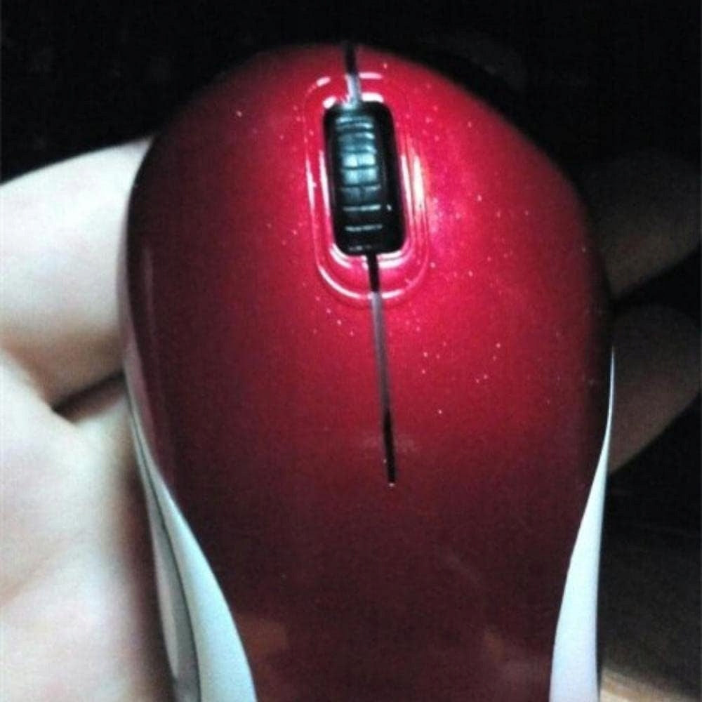 Wireless Mini Mouse, USB 1600 DPI Optical Mouse, Small Portable Mouse Model LWTT