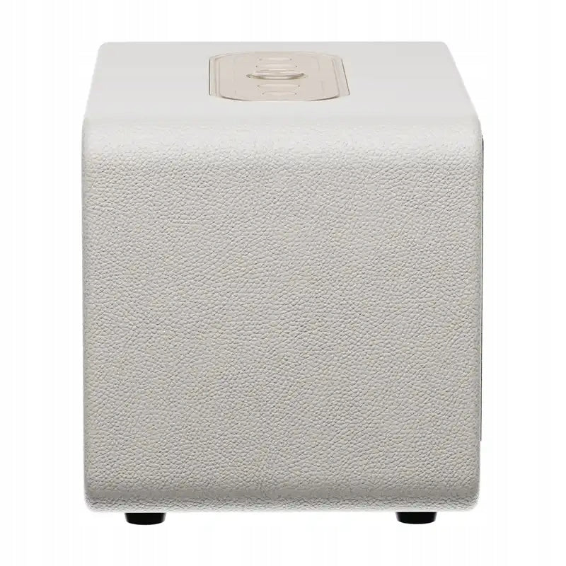 Wireless Retro Speaker QCY 40W Bluetooth App 6.0 14 Hours Working Manufacturer code SP300 white