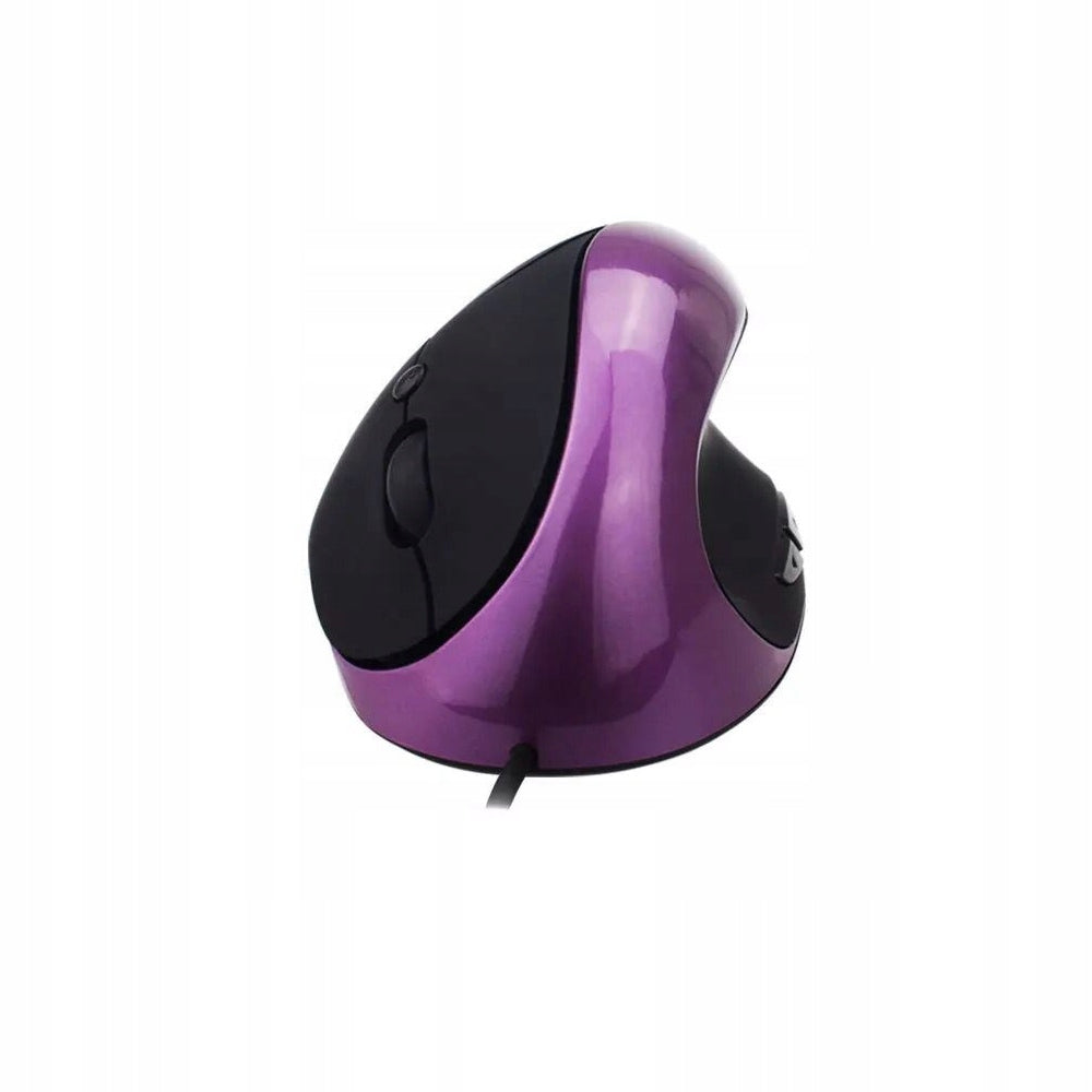 Wireless Vertical Mouse Ergonomic USB Mouse