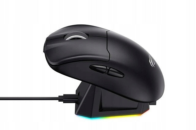 Wireless mouse Havit MS979WB optical sensor black