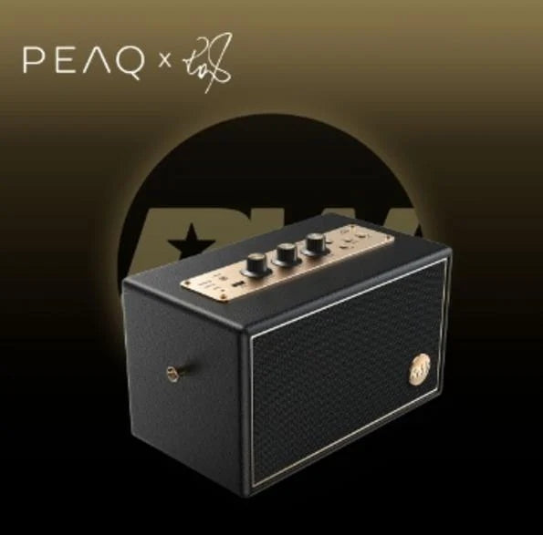 Wireless speaker PEAQ PPA 550-RW Robbie Williams Edition Black Batteries included yes
