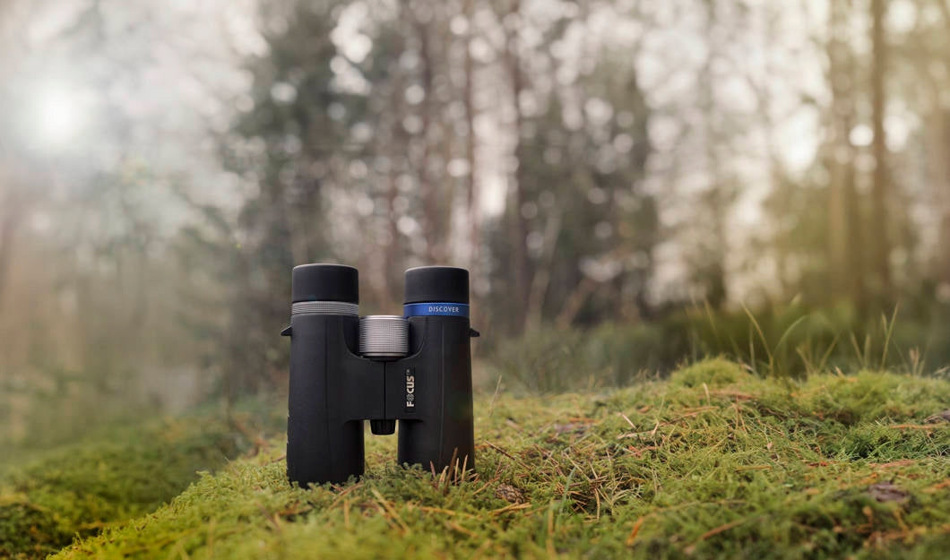 Focus Discover 8x32, schwarz 