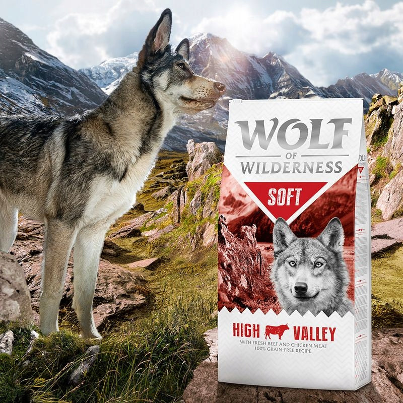 Wolf of Wilderness "Soft - High Valley" Beef, 1kg Brand Wolf of wilderness