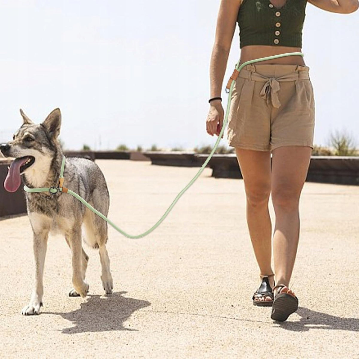 Wolfone Dog Leash Brand no brand