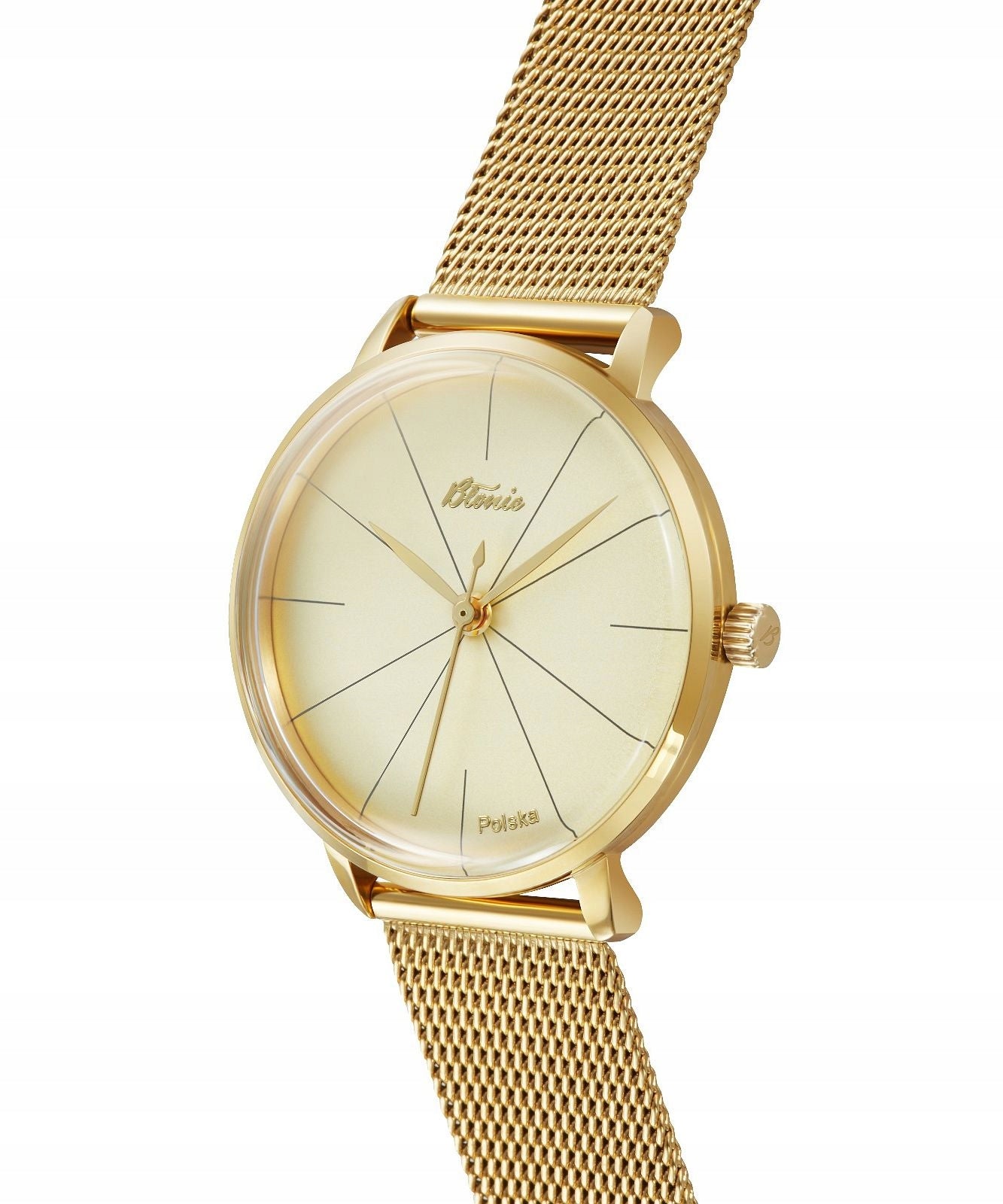 Women's watch Błonie Zodiak Chamomile Packaging status original
