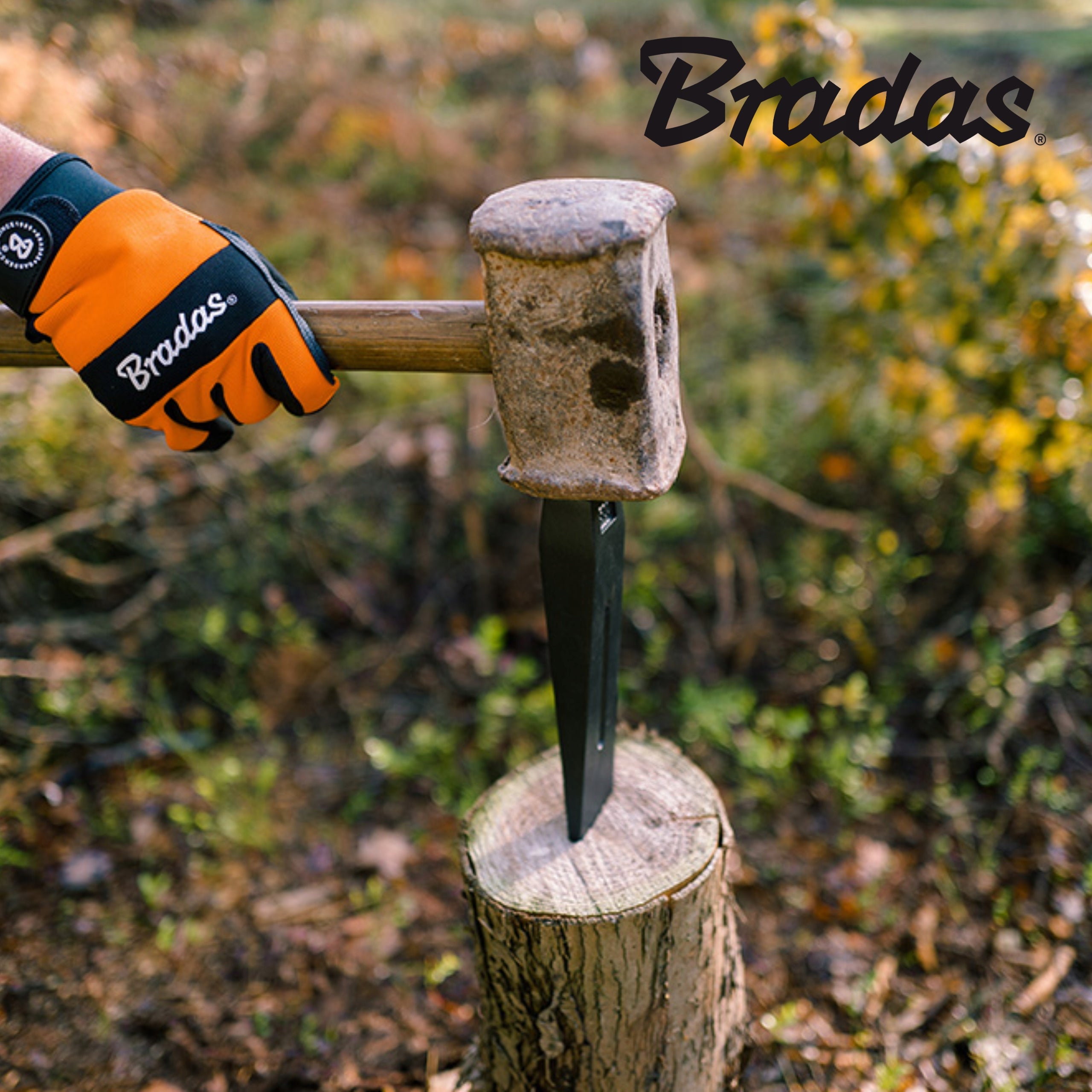 Wood splitting wedge 1,5 kg tree chopping Hardened steel BRADAS EAN (GTIN) 5907544435181