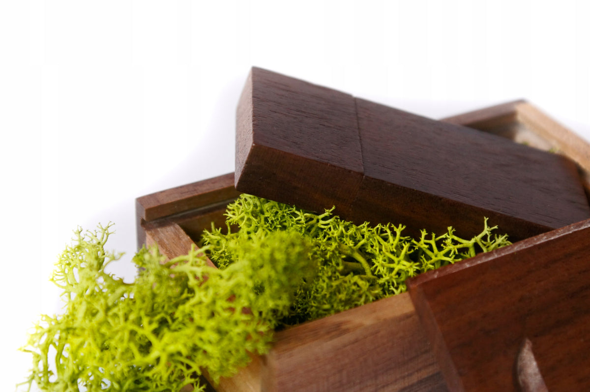 Wooden flash drive 64 GB + box + Moss Color brown