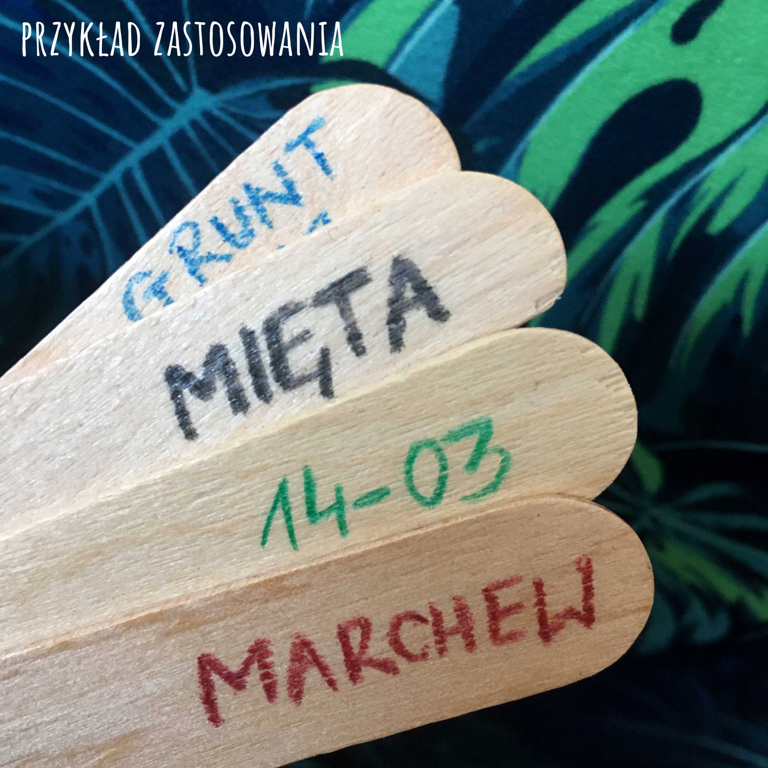 Wooden labels for plants, 50 pcs. ECO Manufacturer code zn321s