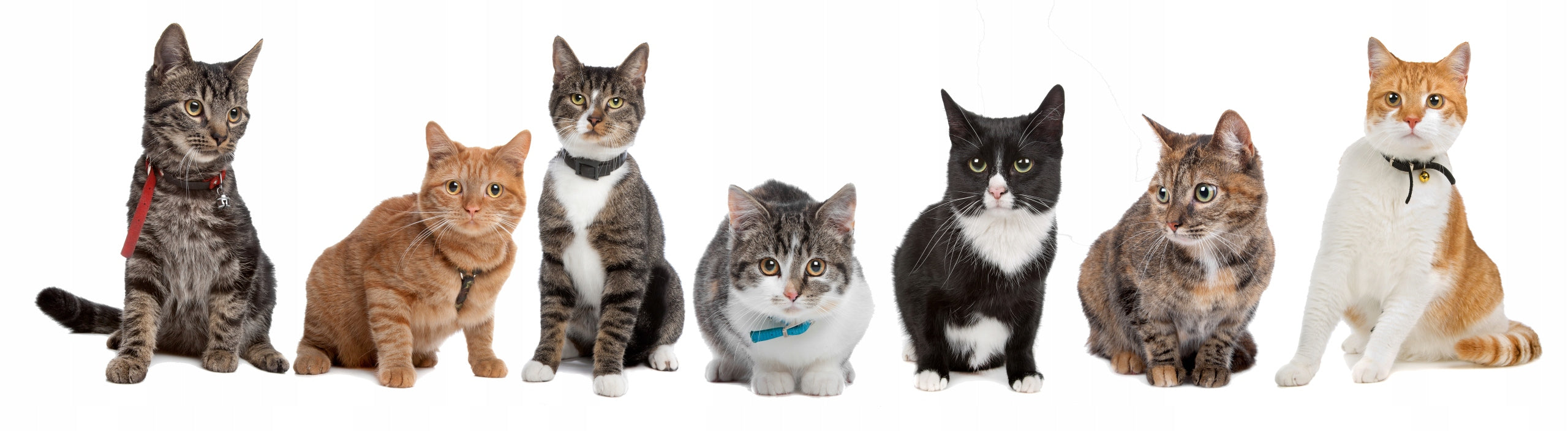 Wooden litter for cats 15 kg pellets Manufacturer code L15D