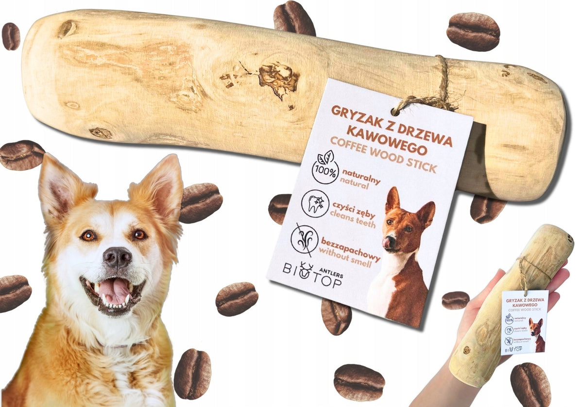 XL Coffee Stick - Coffee Tree Teether for Dogs [230-350g]LARGE Natural