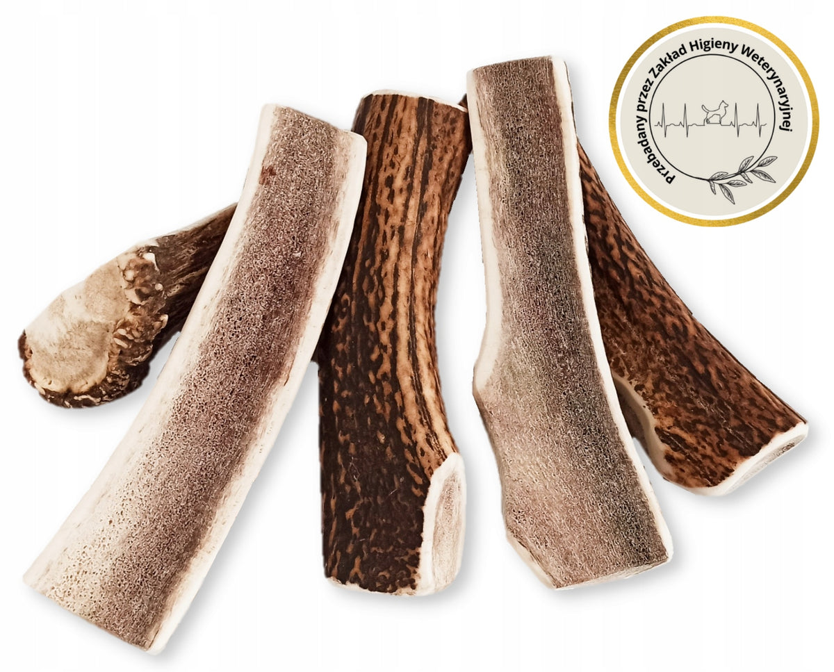 XL EASY Natural Dog Deer Antlers Teether