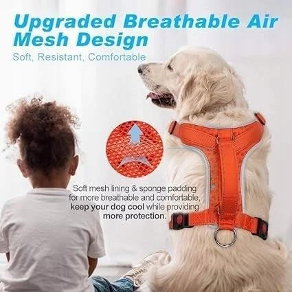 XL Lanyard Dog Harness Reflectors ORANGE Manufacturer code 4904787818819