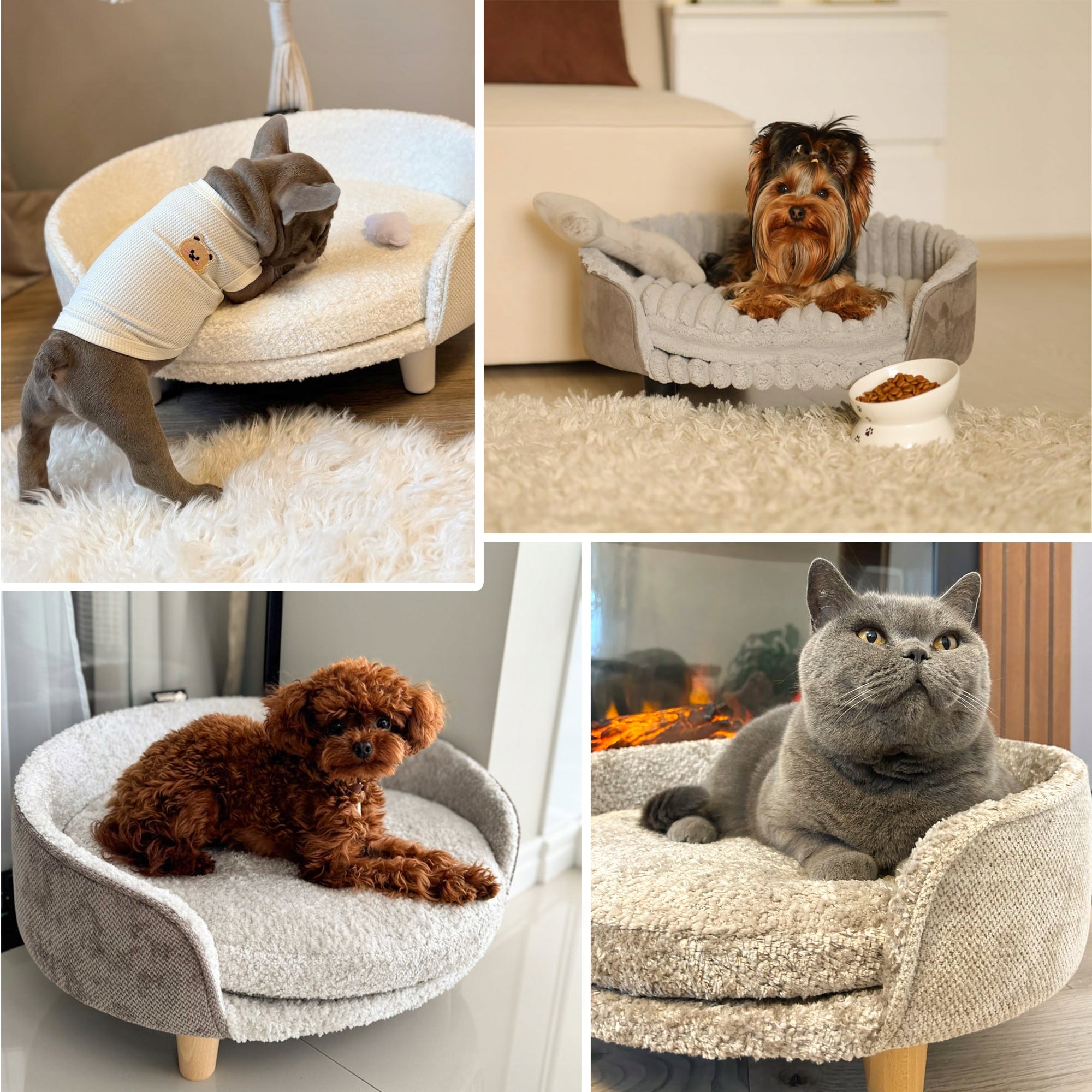 XL Orthopedic Bed for Cat Dog on Legs Mega Hit for Everyday Packaging status original