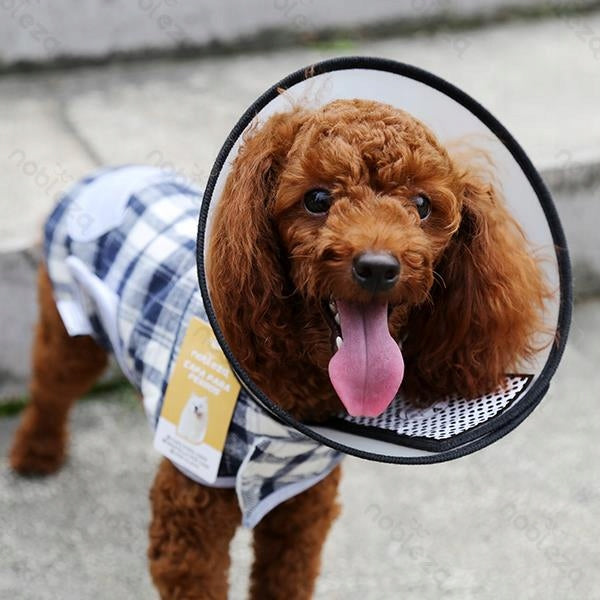 XL Protective Velcro Collar for Dog Postoperative Veterinary Brand Nob