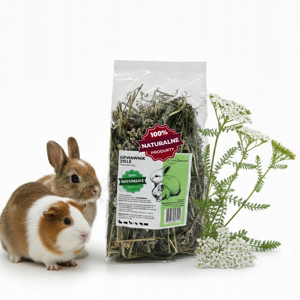 YARROW HERB NATURAL HERBS FOR RABBIT RODENTS DELICACY 100G