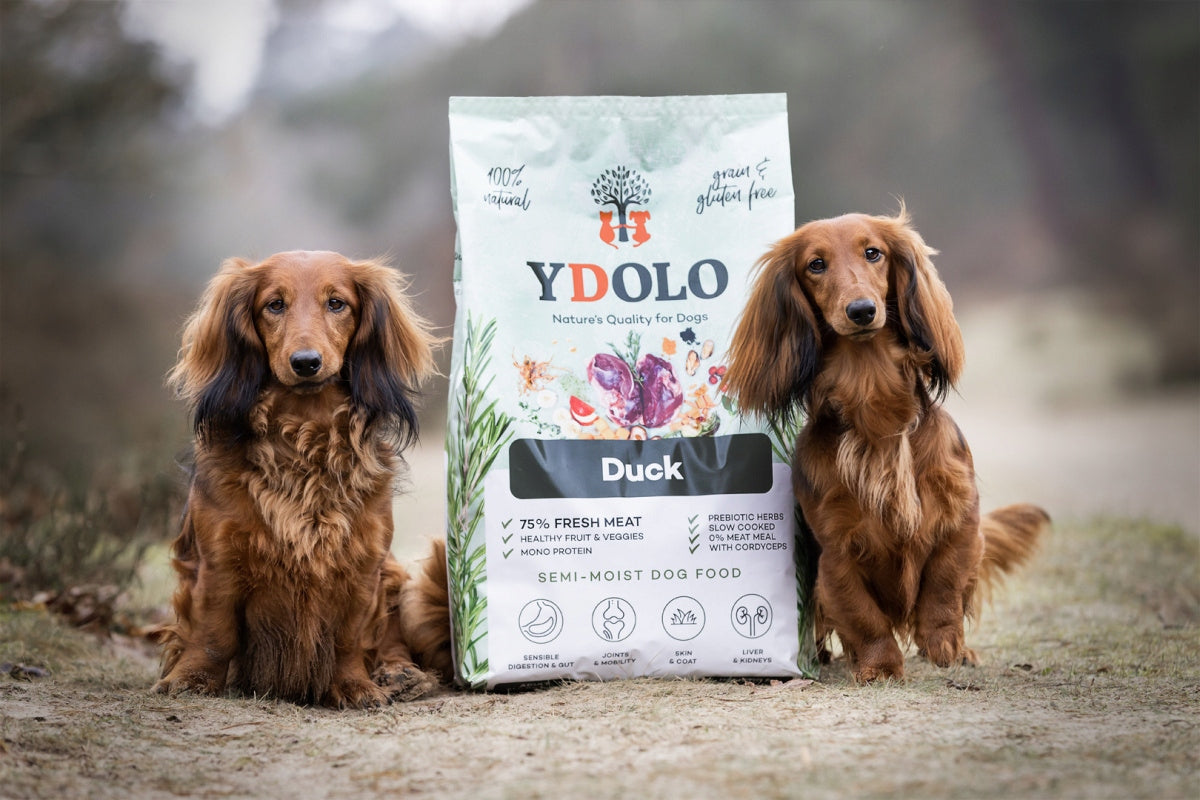 YDOLO Duck 2,5 kg SEMI-MOIST For Adult Dogs 0 Potato Peas Packaging status original