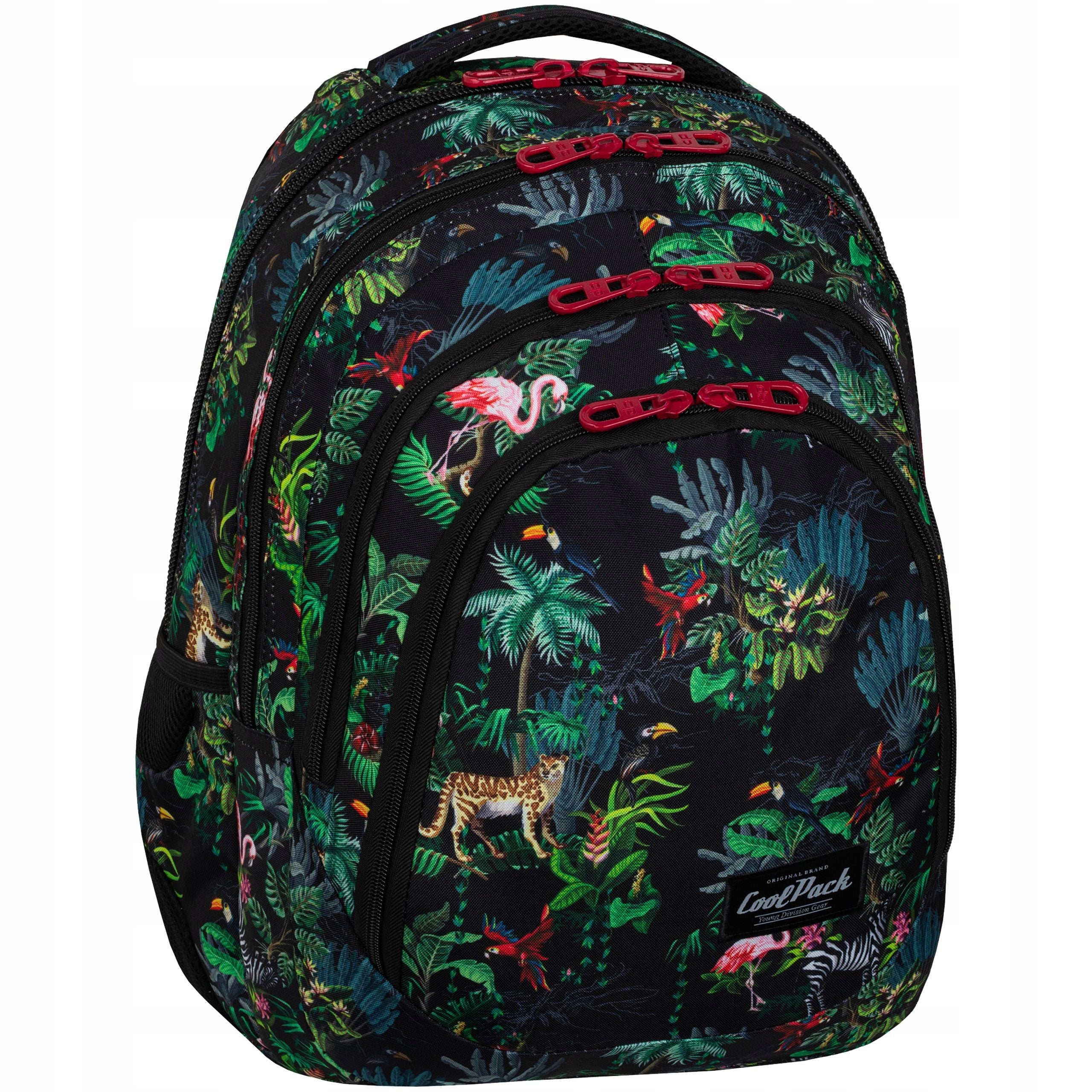 YOUTH SCHOOL BACKPACK FOR GIRLS CP BLACK RASPBERRYDI EAN (GTIN) 5903686330186