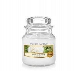 Duftkerze Yankee Candle 623 g 