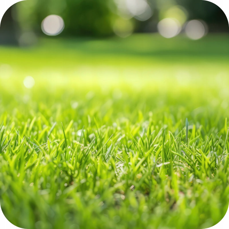 Yara Mila Complex Hydrocomplex 25kg Grass Fertilizer Fields ORIGINAL Manufacturer YARA