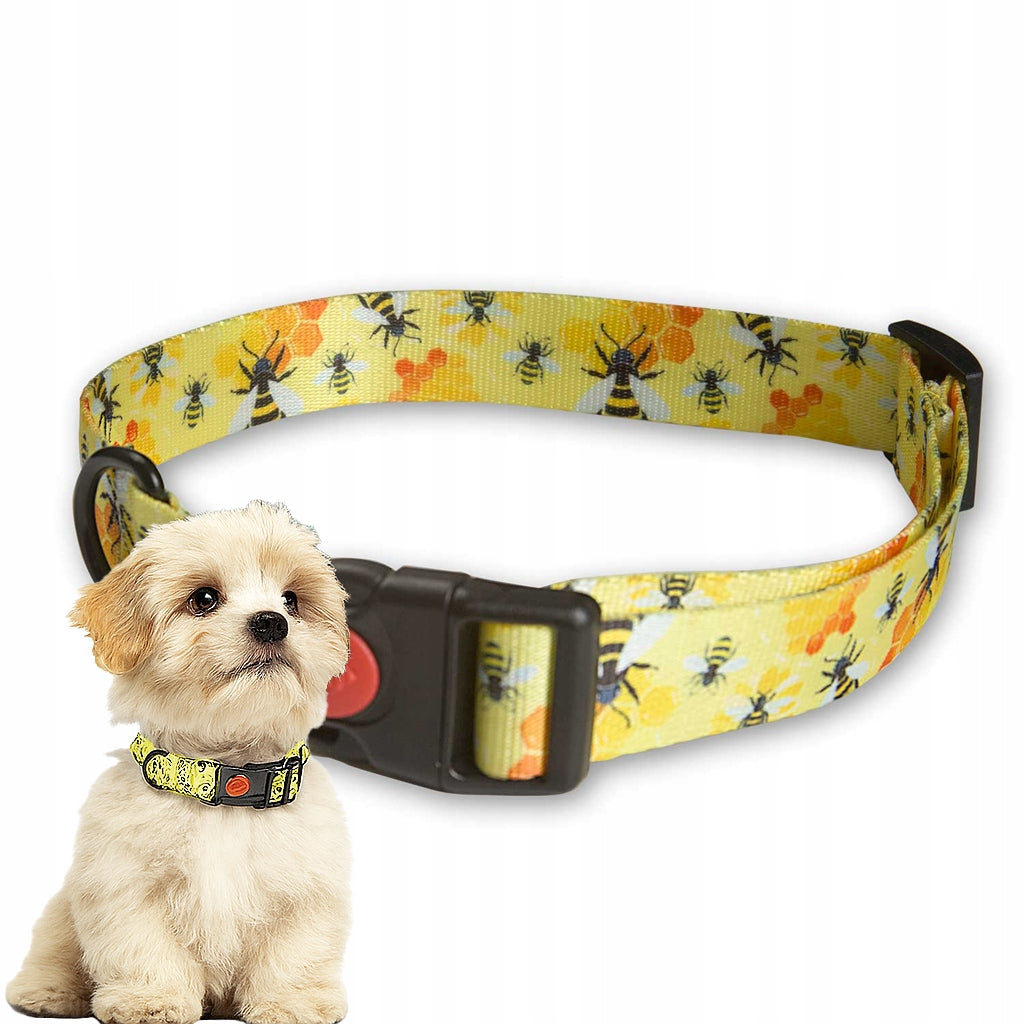 ZANDOR SOLID COLLAR STRONG WEBBING FOR DOG ADJUSTABLE 25mm 30-45cm M