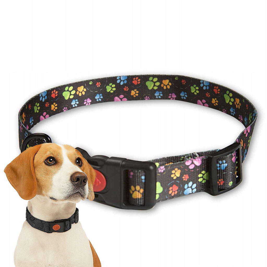 ZANDOR SOLID COLLAR STRONG WEBBING FOR DOG ADJUSTABLE 25mm 35-50cm L