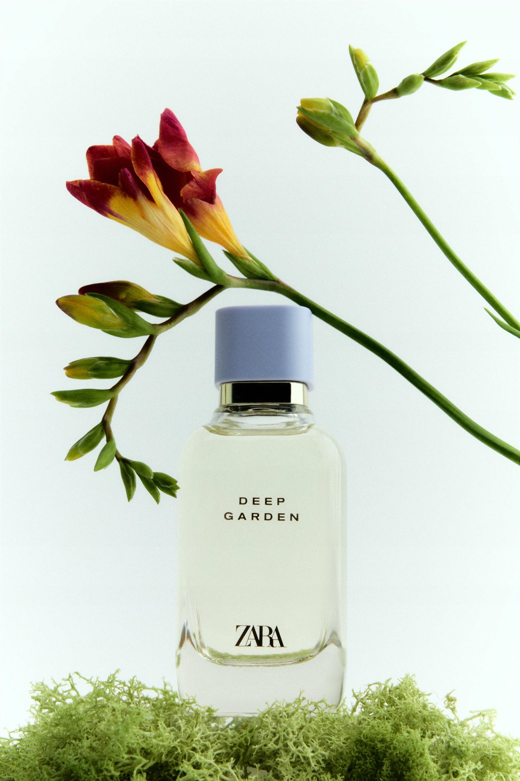 ZARA DEEP GARDEN 100 ML EAU DE PARFUM FOR WOMEN ZARA DEEP GARDEN EAN (GTIN) 602013019798