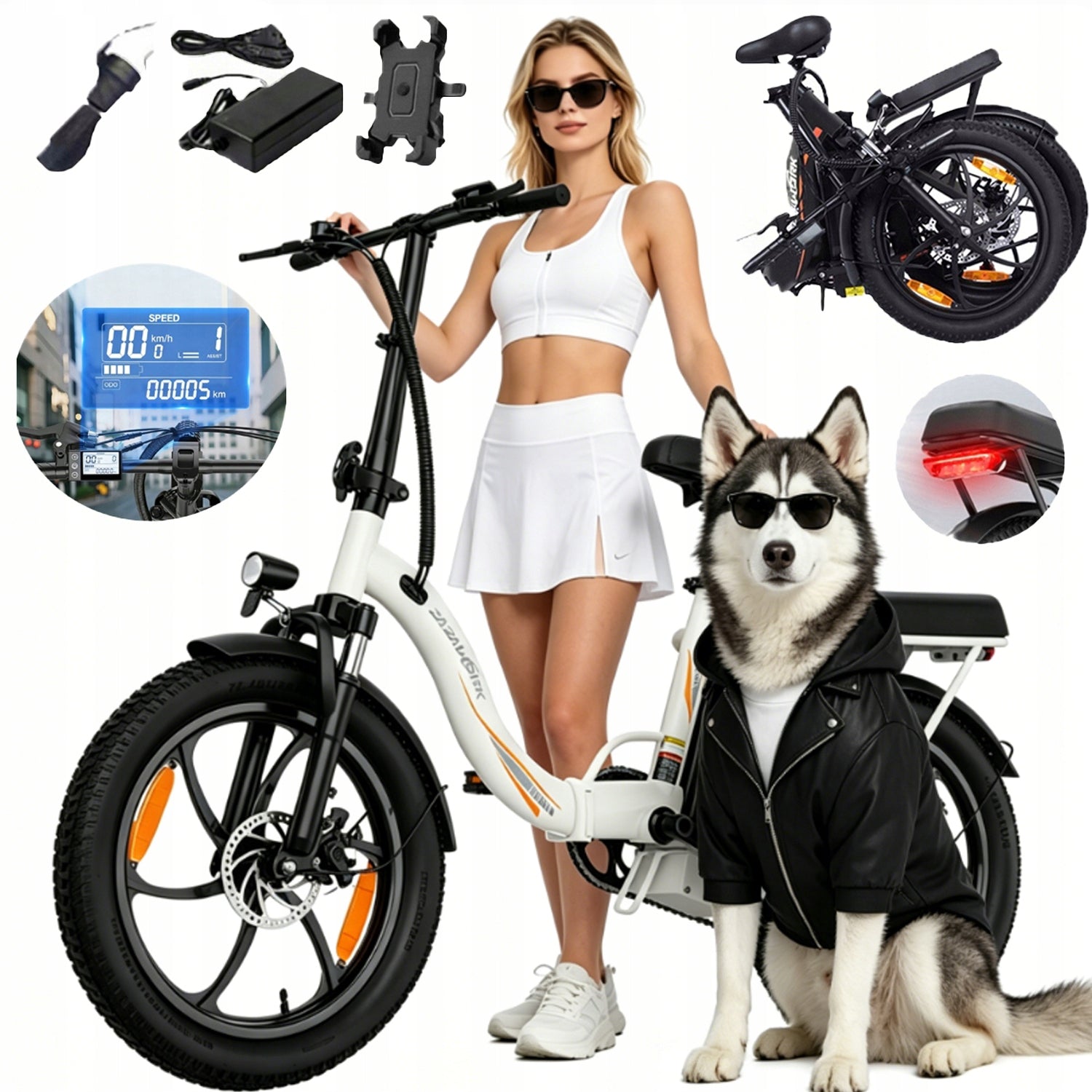 ZAZAWORK C16 2026 Electric Bike Folding 250W 48V 16AH 100km urban