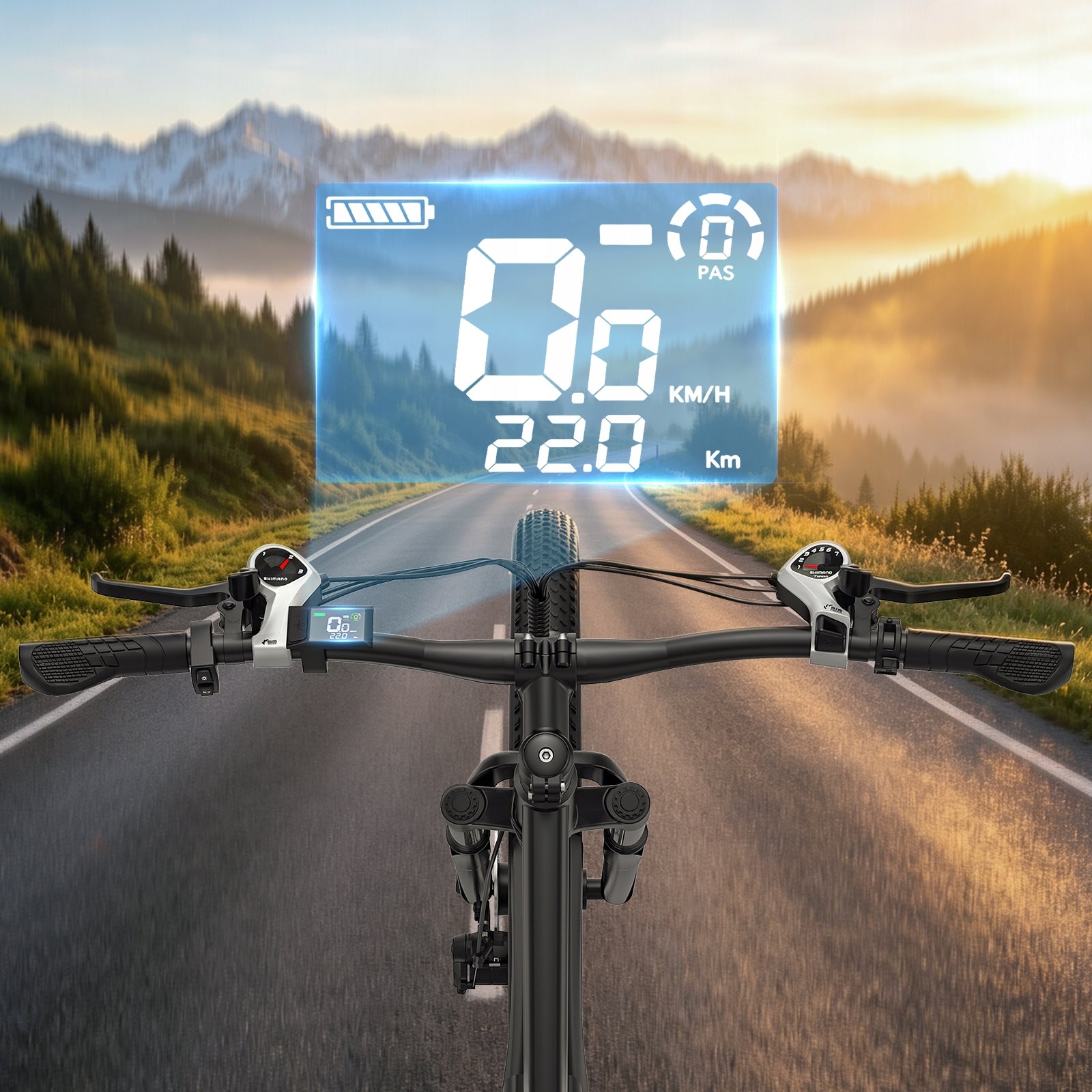 ZAZAWORK CF29 250W 48V15AH 29" Men's/Women's 21 Gear Electric Bike Maximum rated power electric bike (under 250W)